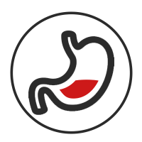 promotes_healthy_digestion